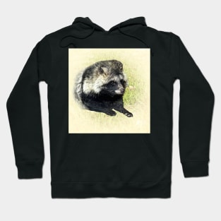 Raccoon dog Hoodie